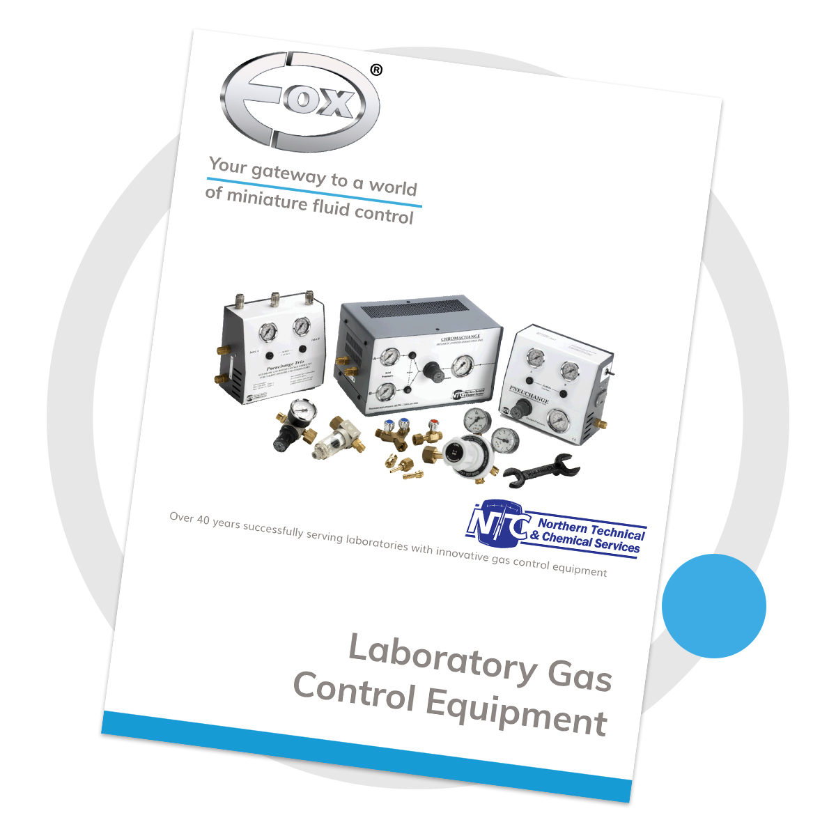 Download Gas Control Flyer
