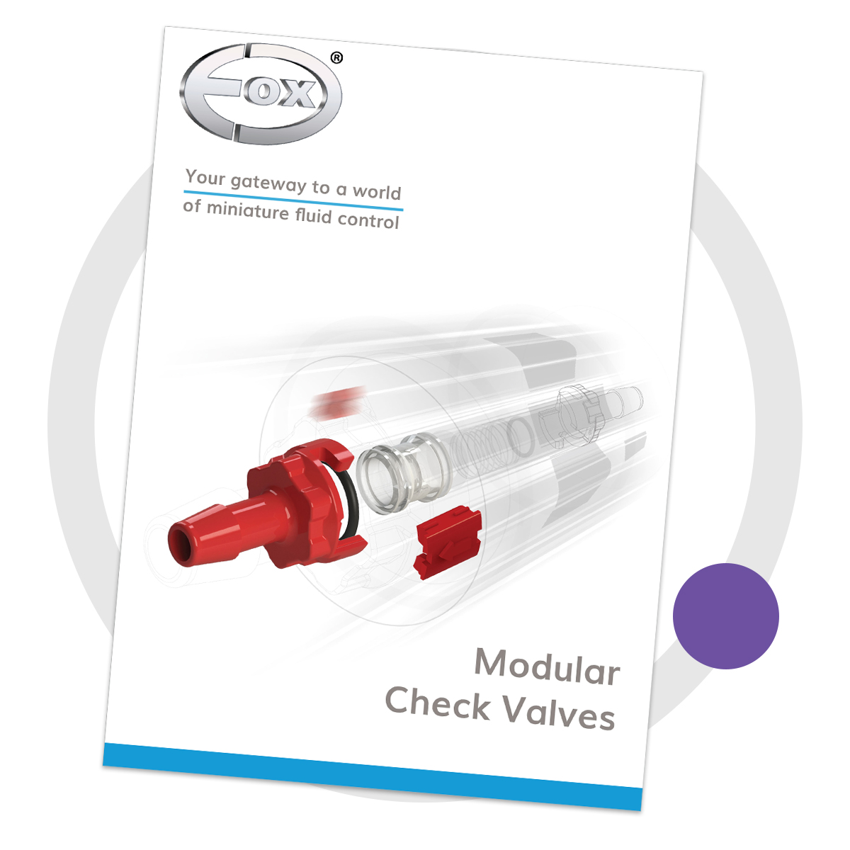 Click to download our modular check valve flyer